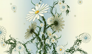 robo-camomile-1680x01501