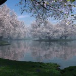 sakura1