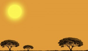 savanna-1024x600
