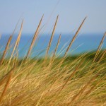 seaside1